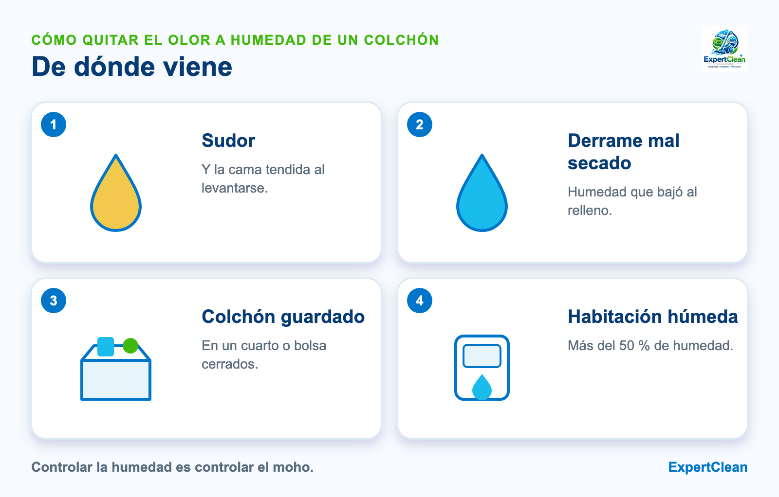 Diagrama de las causas del olor a humedad de un colchón: sudor, derrame mal secado, colchón guardado y habitación húmeda