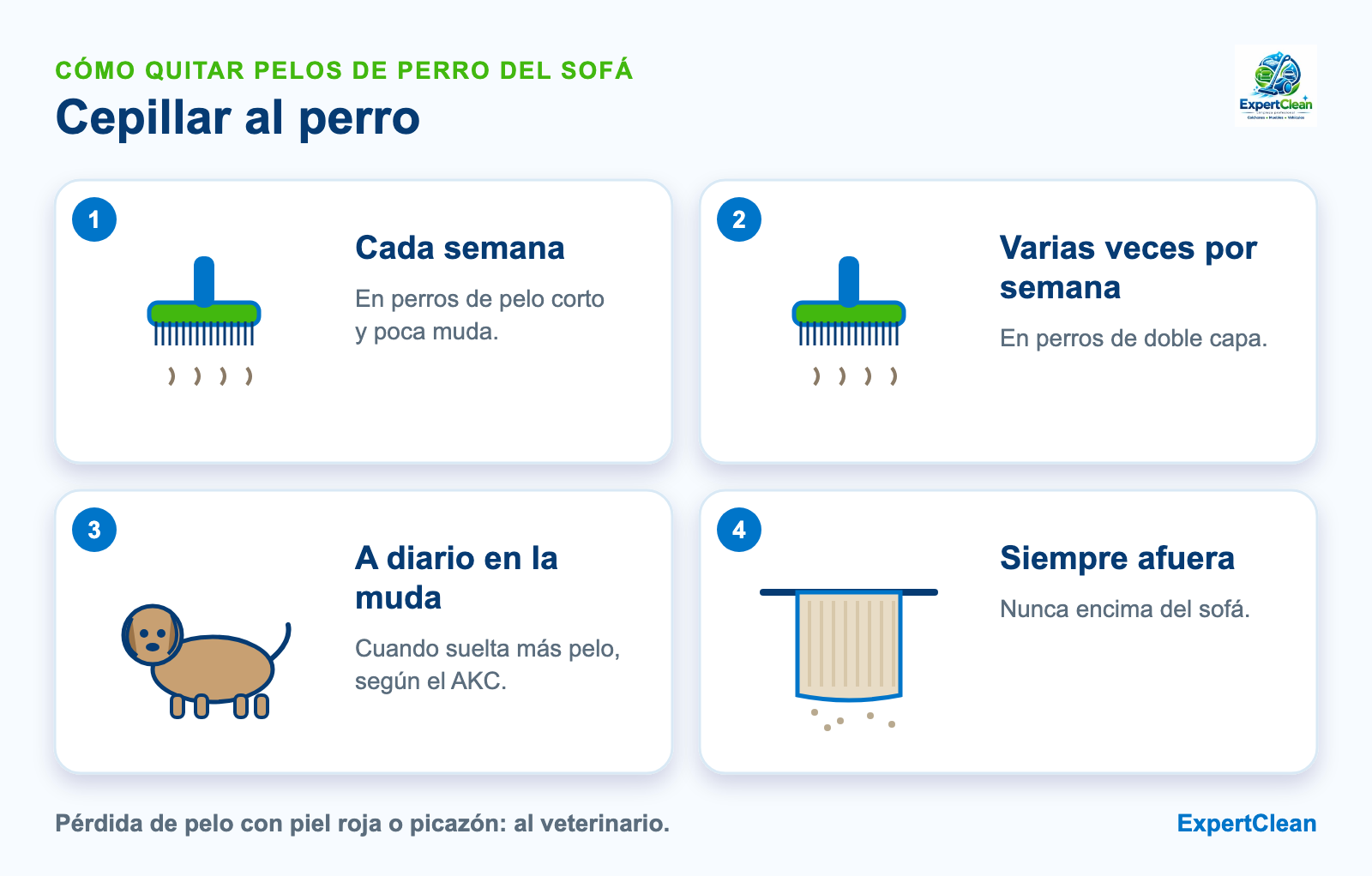 Diagrama de cada cuánto cepillar al perro para que no llene el sofá de pelos: semanal, varias veces por semana o a diario en época de muda