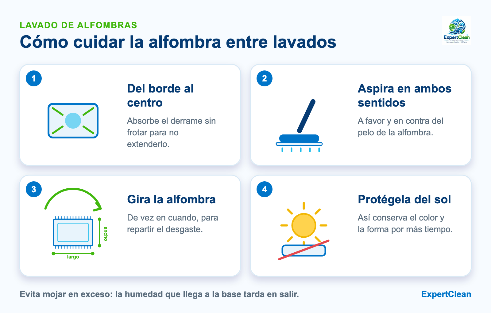 Diagrama para cuidar la alfombra entre lavados: absorber del borde al centro, aspirar en ambos sentidos, girar la alfombra y protegerla del sol