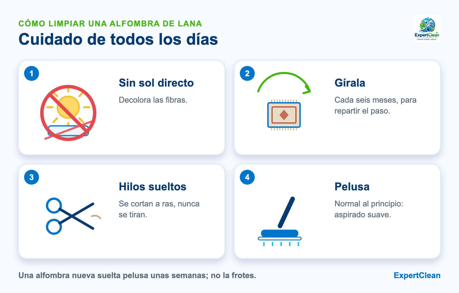Diagrama del cuidado de una alfombra de lana: secar a la sombra, girarla cada seis meses, cortar los hilos sueltos y aspirar suave