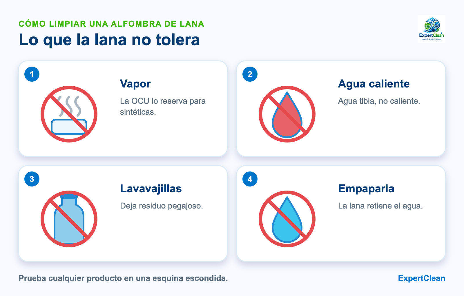 Diagrama de lo que se evita en una alfombra de lana: vapor, agua caliente, lavavajillas y empaparla