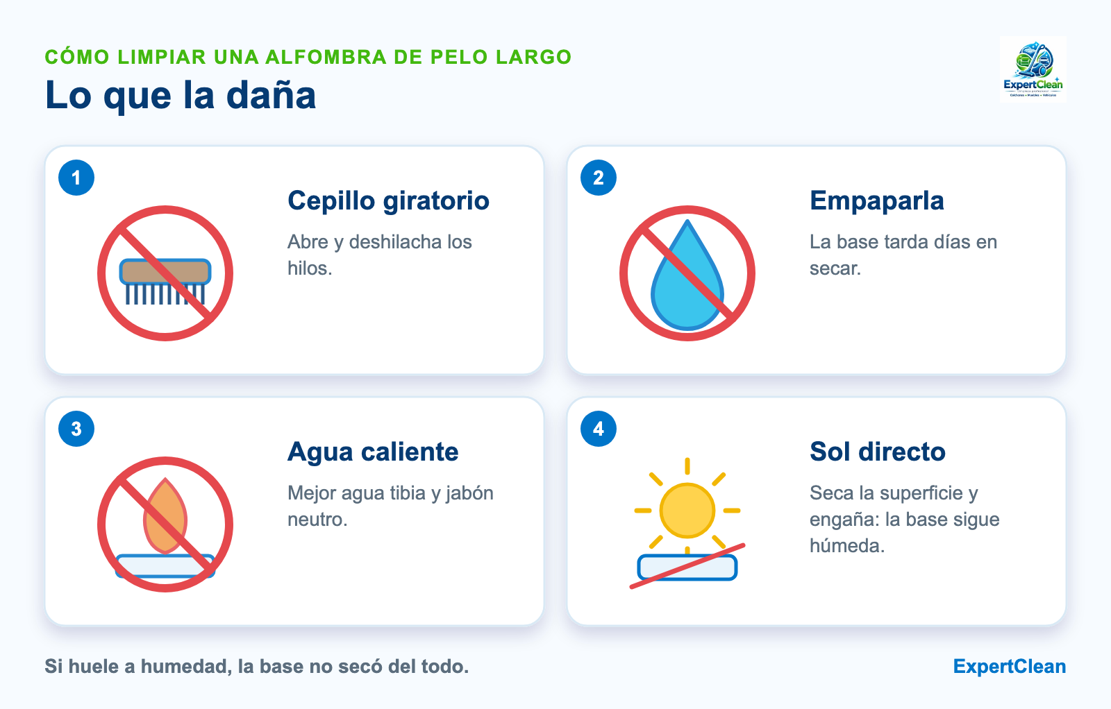 Diagrama de lo que daña una alfombra de pelo largo: cepillo giratorio, empaparla, agua caliente y secarla al sol directo