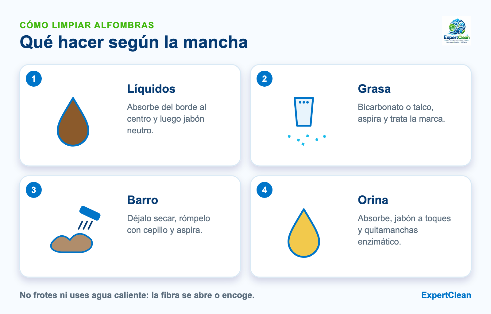 Diagrama de qué hacer según la mancha en una alfombra: líquidos, grasa, barro y orina