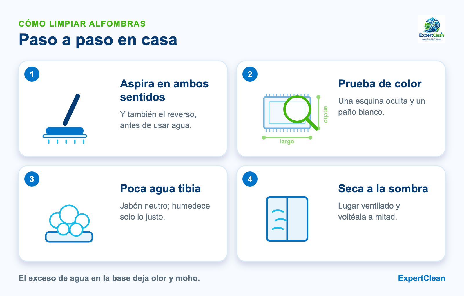 Diagrama de cuatro pasos para limpiar alfombras en casa: aspirar en ambos sentidos, prueba de color, limpiar con poca agua y secar sin sol directo