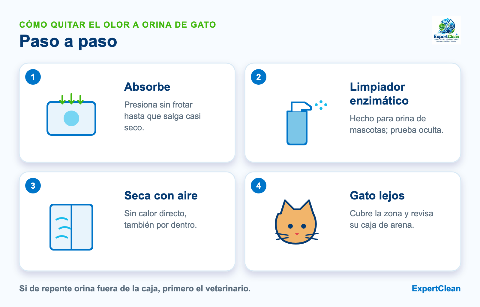 Diagrama de cuatro pasos para quitar el olor a orina de gato: absorber, limpiador enzimático, secar con aire y mantener al gato lejos