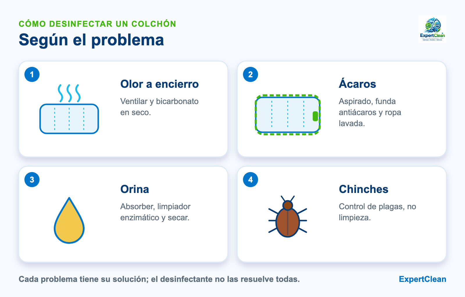 Diagrama de qué hacer según el problema del colchón: olor, ácaros, orina y chinches, cada uno con su solución