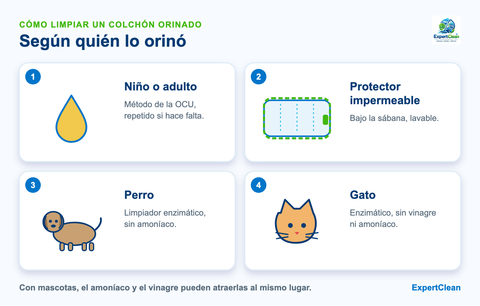 Diagrama de cómo limpiar un colchón orinado según el caso: niño o adulto con el método de la OCU, perro o gato con limpiador enzimático