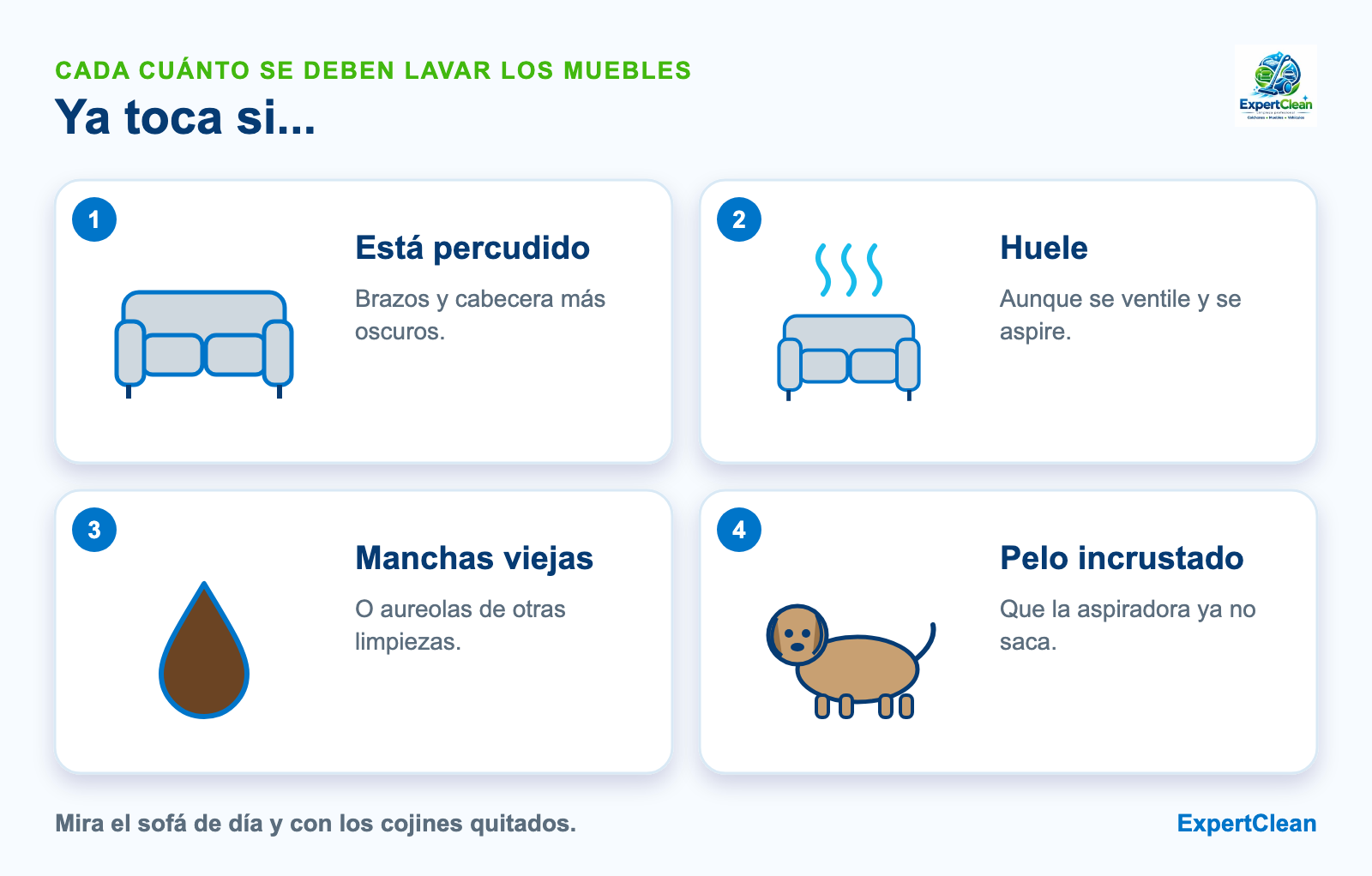 Diagrama de las señales de que los muebles necesitan lavado: brazos percudidos, olor que vuelve, manchas viejas y pelo de mascota incrustado